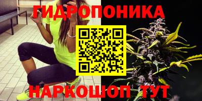 мдпв Беслан
