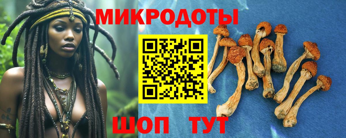 Знаменск  Псилоцибиновые грибы прущие грибы  Вход с VPN 
